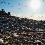 A large landfill covered with piles of garbage, with birds flying overhead and a tractor visible on top of the heap—highlighting the ongoing need for junk removal in Newark NJ. The sun is shining brightly in the blue sky.
